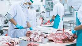 肉牛