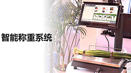 智能称重